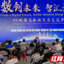 两大AI平台首发、AI生态圈启动，这场活动给出“AI+商贸”新解法