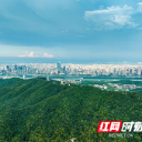 世界环境日，看岳麓山如何“养”出一座秀美青山