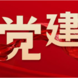 这个“家”不一般! 浏阳镇头税务分局获评全国“四强”党支部