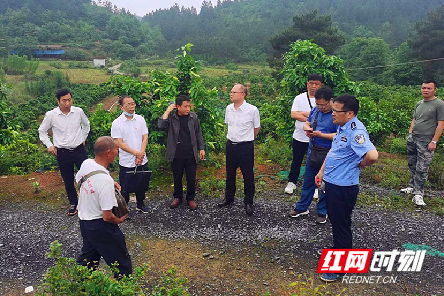 陪同区领导深入大庆坪乡晓宝田村调处一宗山地租赁纠纷案_副本.jpg