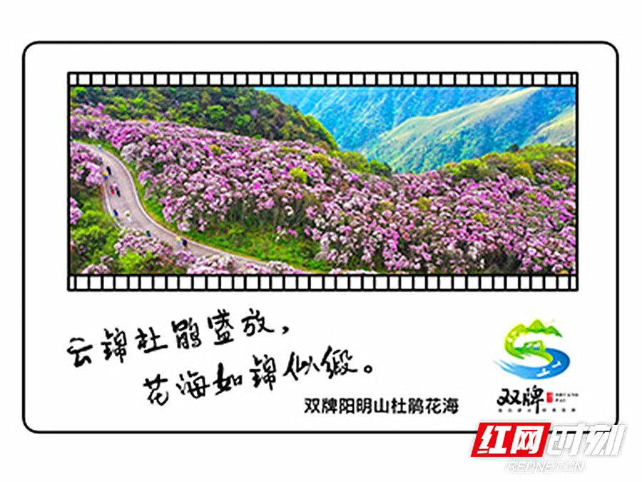 89 透卡明信片 封面图_副本.jpg