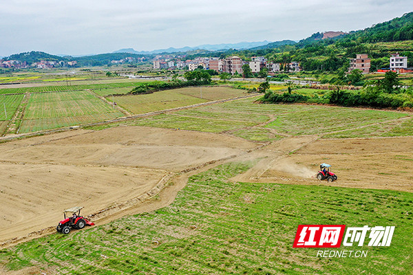 金秋时节，永州市新田县中山街道东升村，农机手驾驶旋耕机在翻耕土地。钟伟锋 摄.jpg