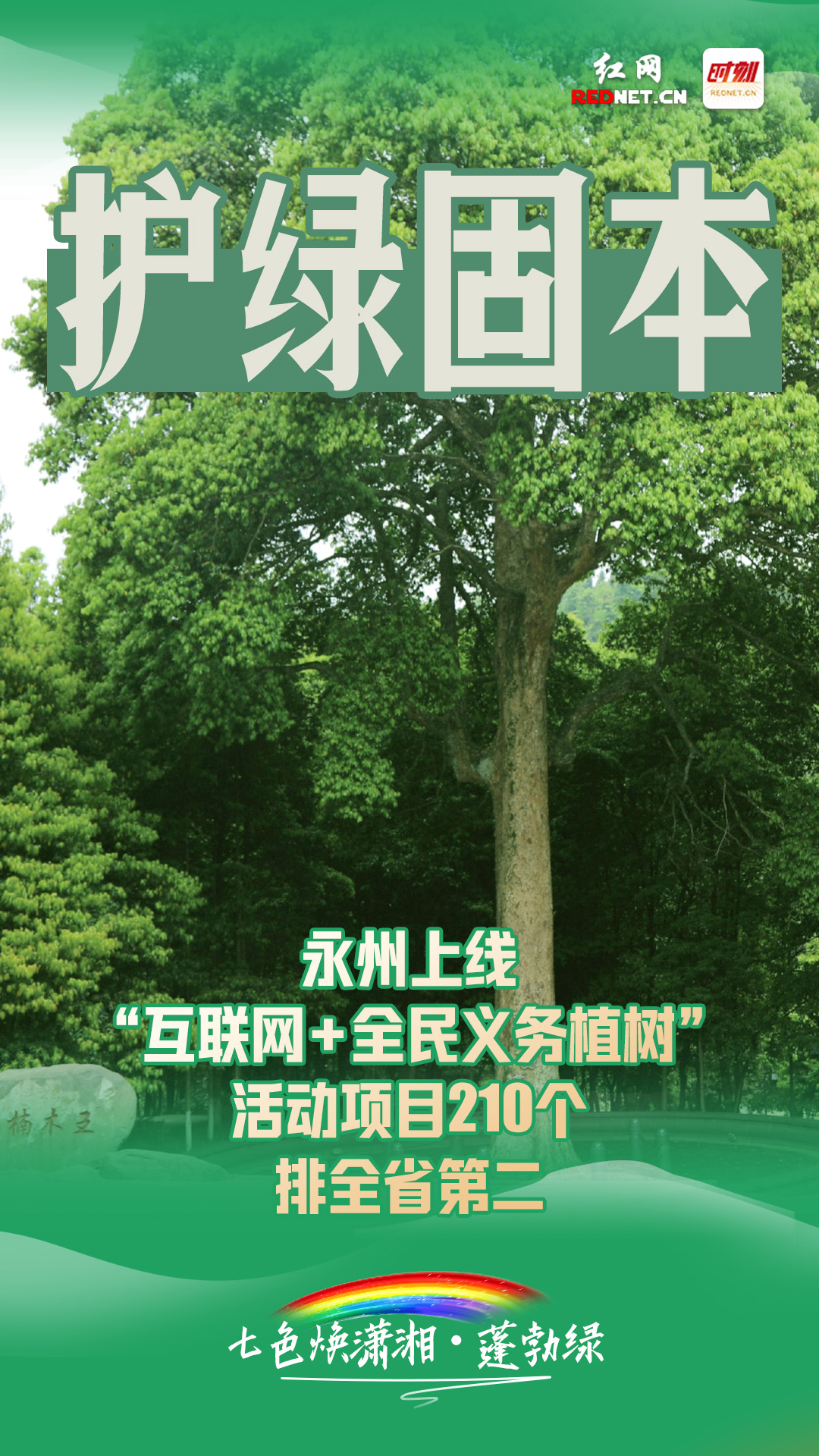绿4.jpg