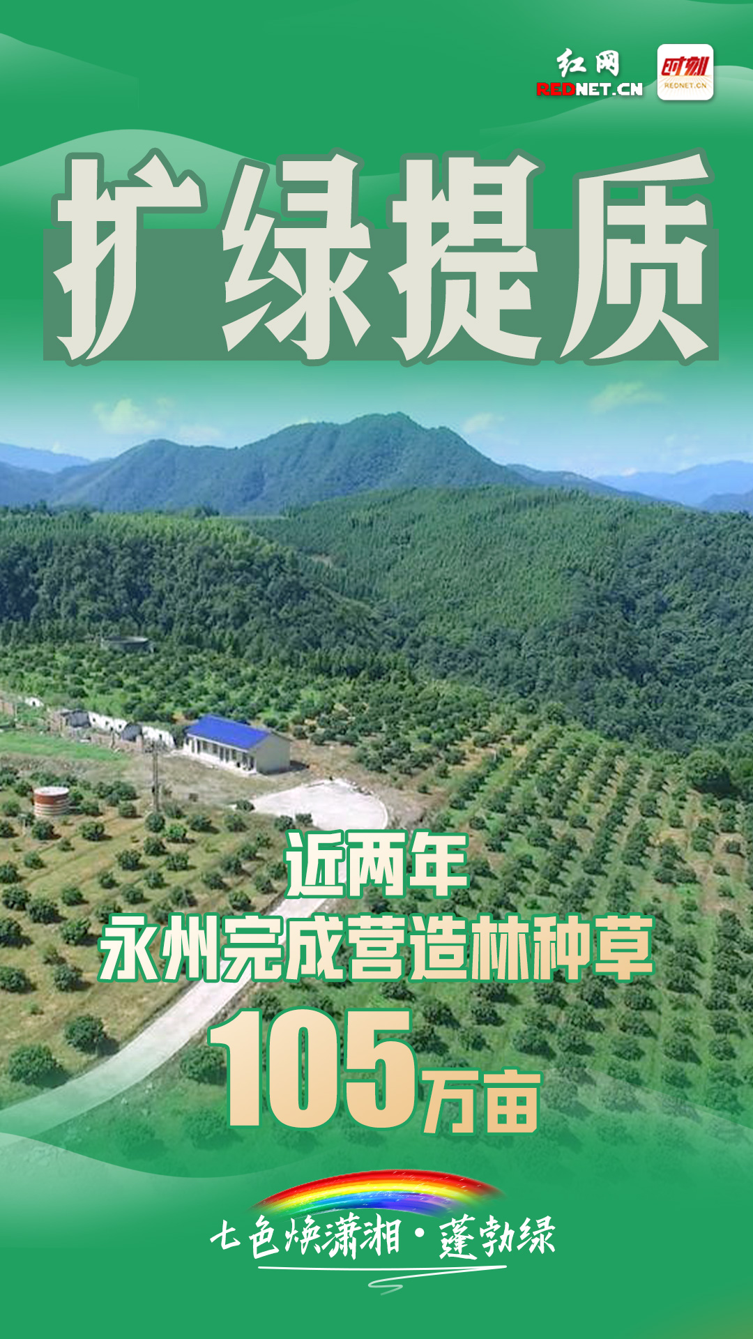绿2.jpg