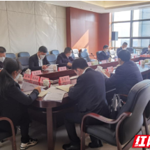 桥驿镇代表委员参加望城区两会 为发展献计，为民意发声