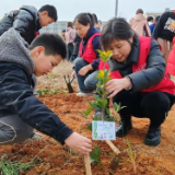 约起！长沙108个义务植树基地等你添新绿