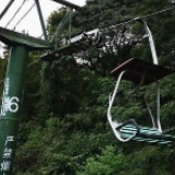 岳麓山“悬空式”索道即将停运 未来将换成厢式索道