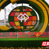 “农”墨重彩！芙蓉区国家现代农业产业园亮相农博会