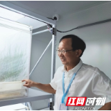 “种业硅谷”追梦人 | 彭俊华：破译了粮食作物生物密码