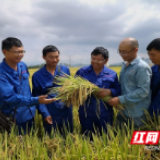 “最美科技工作者”！隆平高科技园这位水稻专家火了