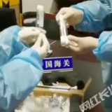 视频 | 长沙海关首次截获4种危险性活体蚂蚁