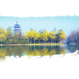 让绿色成为长沙高质量发展的亮丽底色