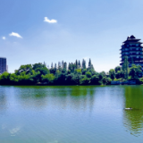 视频 | 宁乡网络博主化身反电诈宣传员 八哥带你“涨知识”