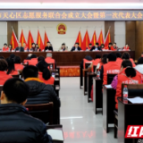 打造文明高地 长沙天心区汇聚志愿力量助力高质量发展