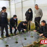 视频 |“特派员”来了！春耕更有“科技范”