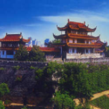 300余家店铺减免1个月租金 企业服务换挡升级