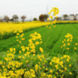 蓝天碧水同守护 防疫发展不松懈