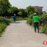 春来草木绿 杂草防除刻不容缓