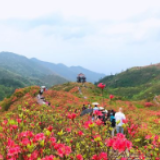 乡村旅游游客占总游客90% 五一假期浏阳文旅全面开花
