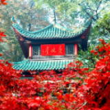 景点扫描 首个限流假期 岳麓山等景区 不再“人从众” 