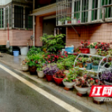 老家有新貌 | 有颜值又有内涵 社区里幸福大涨