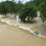 洪水黄色预警！长沙迎来第一场超警戒水位洪水