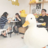 长沙宠物互动馆火爆 顾客周末排队要等几小时