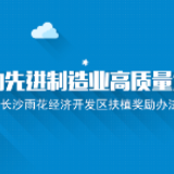 Flash动画|“六大计划”立梁架柱 雨花经开区高质量发展奖亮了