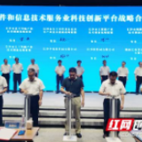 多平台“合璧” 长沙软件业科技创新再出“王炸”
