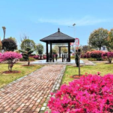 快讯 | 2021年，长沙将打造美丽幸福河10条、“美丽屋场”100个