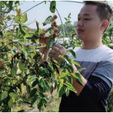 宁乡： 激发“绿领”人才动力，激活乡村振兴“一池春水”