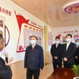全省抓党建促乡村振兴会议在浏阳市召开，王成吴桂英出席