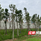 我为群众办实事 | 噪音少了环境好了 雨花区多部门联合解难题