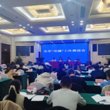 全市“一盘棋”落地落实！长沙强力推进“双减”