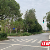 街镇“吹哨”部门“报到” 上学路畅通不踩泥