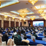 十条升级举措！赋能“党建聚合力 共融强省会”工程