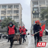 宁乡玉潭街道：以雪为令，党旗红和志愿红交相辉映