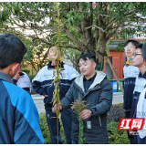 当场铲除！“加拿大一枝黄花”在长沙这所学校“黄”了