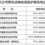 长沙率先全省出台市级陆生野生动物放归管理办法
