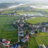 两会快讯｜2021年，长沙新增国家级农业龙头企业4家