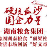 湖南粮食集团：稳固湖南粮食“顶梁柱” 做好市场创新“好文章”