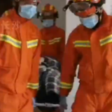 视频 | “重量级”患者突然发病 1辆救援车7名消防员“抬人”