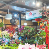 长沙新春花来俏 就地过年持续升温年宵花市场