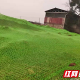 裸露黄土披“新衣”，华丽“变身”亮新颜