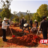 春风绿了湘江岸：长沙人均植树2.8株