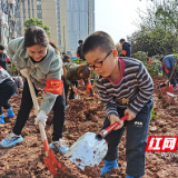 视频 | 昔日菜地变花园 萌娃结队来“植绿”