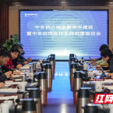 湖南自贸试验区雨花区块召开“诸葛会” 集体问诊中非经贸合作疑难杂症
