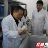 “昆仑”“利剑”“护苗”……创建省级食品安全示范县就这么干