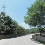 线上党课天天讲 百年党史日日学