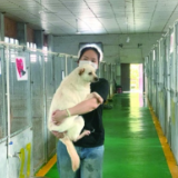 《养犬条例》实施近2年 长沙：不文明养犬的少了 办证、拴绳的多了